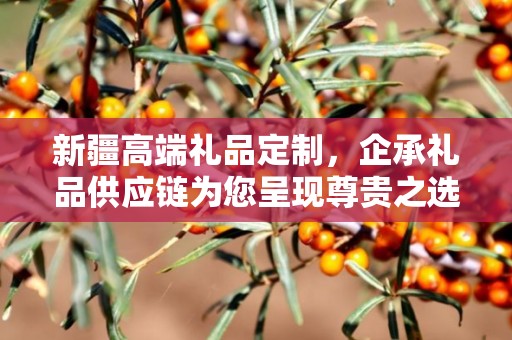 新疆高端礼品定制，企承礼品供应链为您呈现尊贵之选