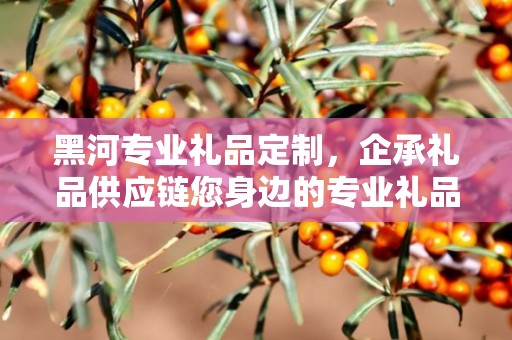 黑河专业礼品定制，企承礼品供应链您身边的专业礼品定制公司